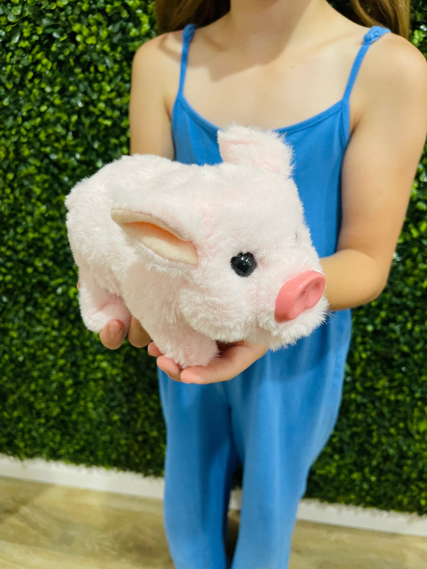 Walking Plush Toy | Pig