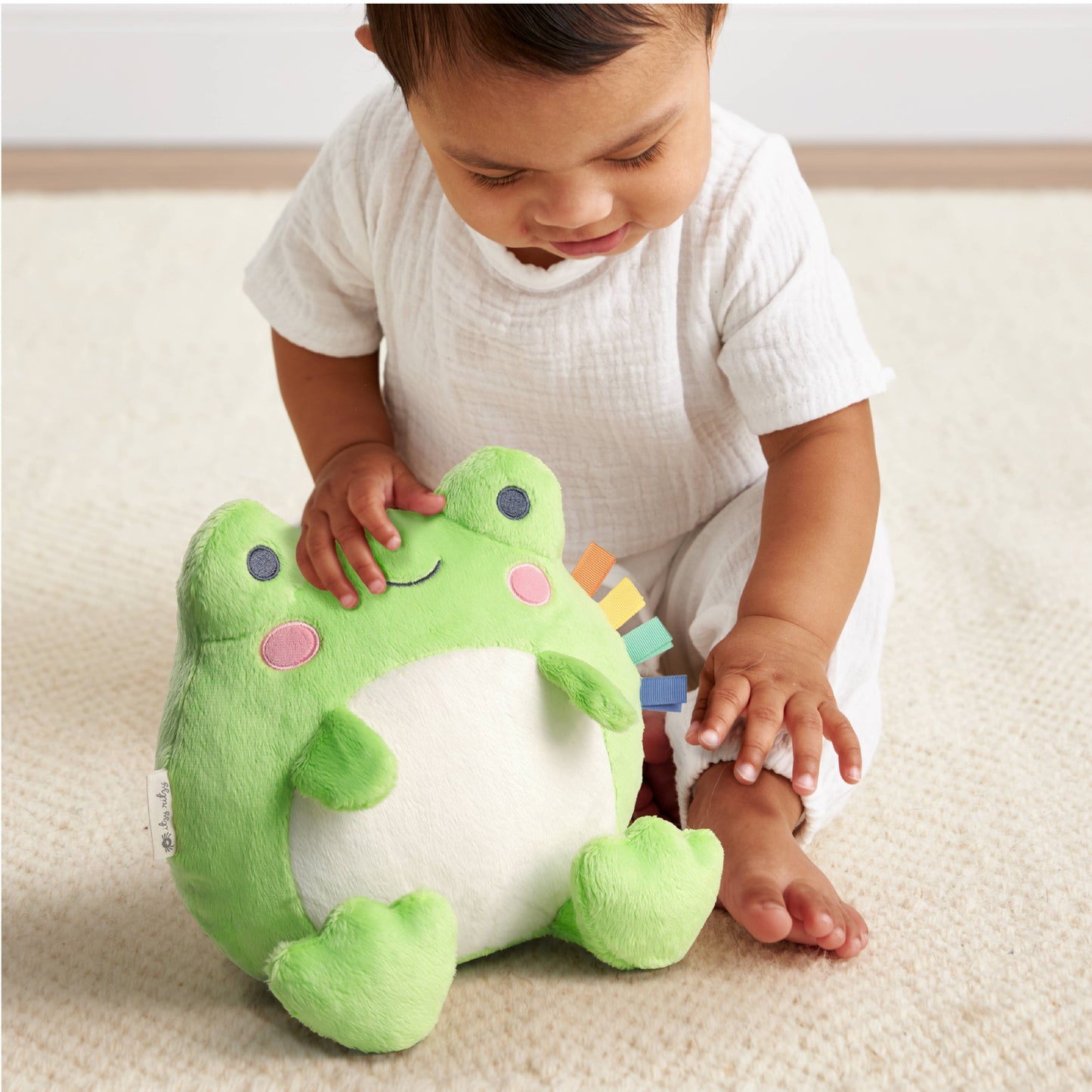 *NEW* Sweetie Snuggles™ Plush: Frog