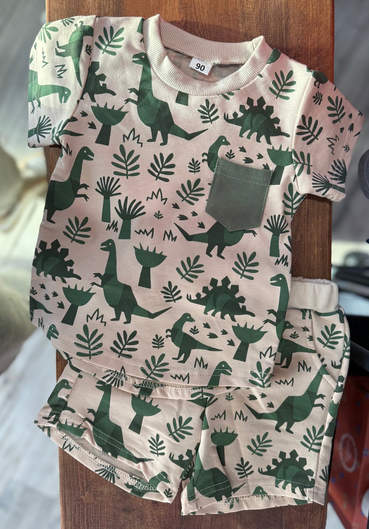 Muted Dinosaur Shorts Set