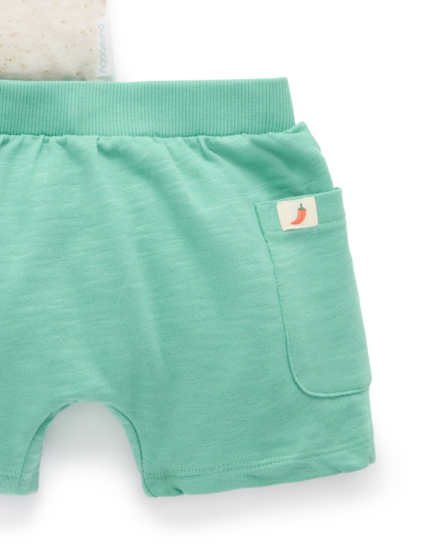 Fiesta Foods Set | Iguana Green + White