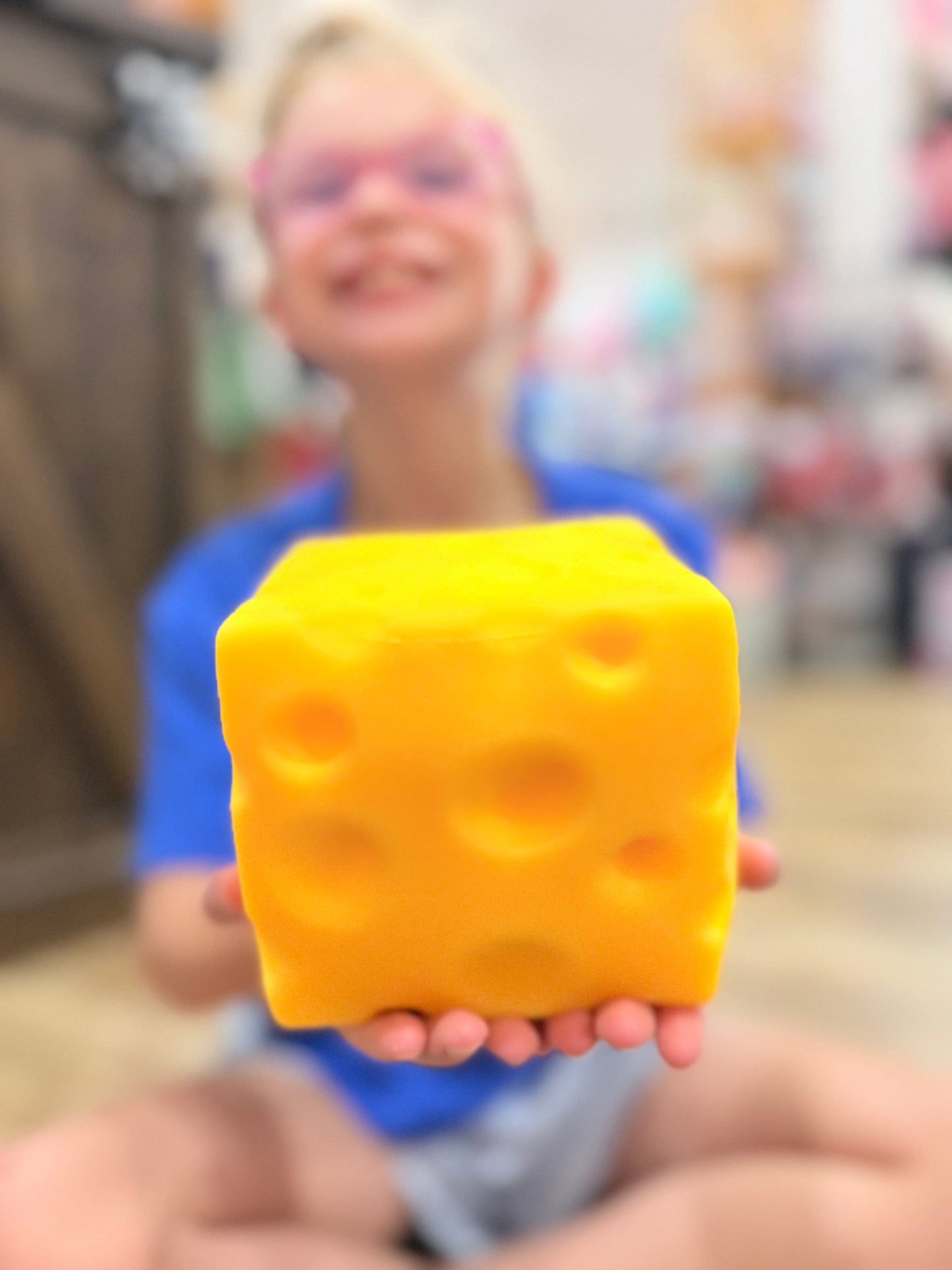 Jumbo Cheese Squishy