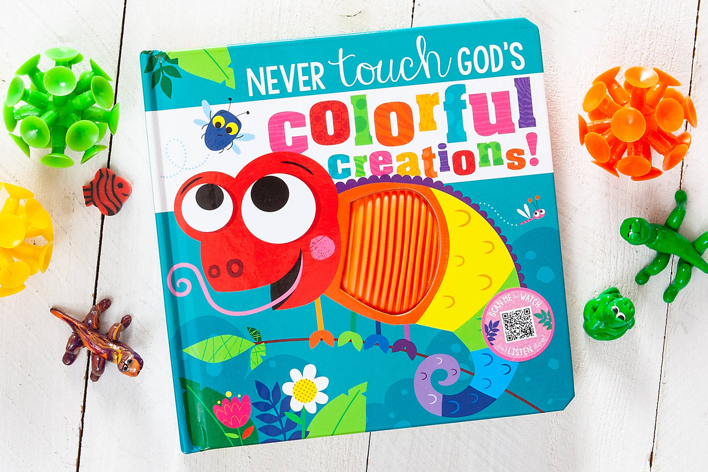 Never Touch God’s Colorful Creations | Book