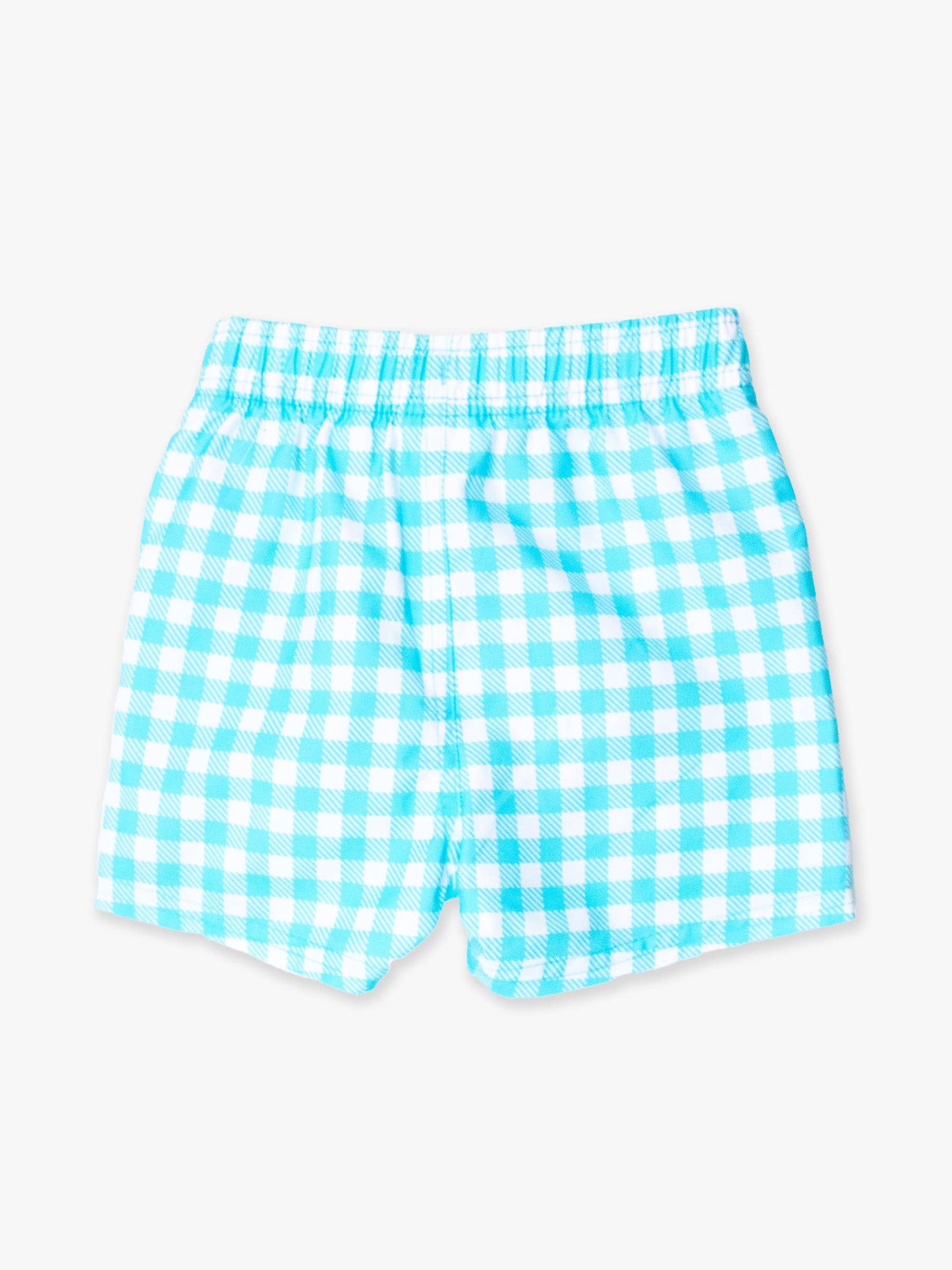 Bright Aqua Gingham Swim Trunks