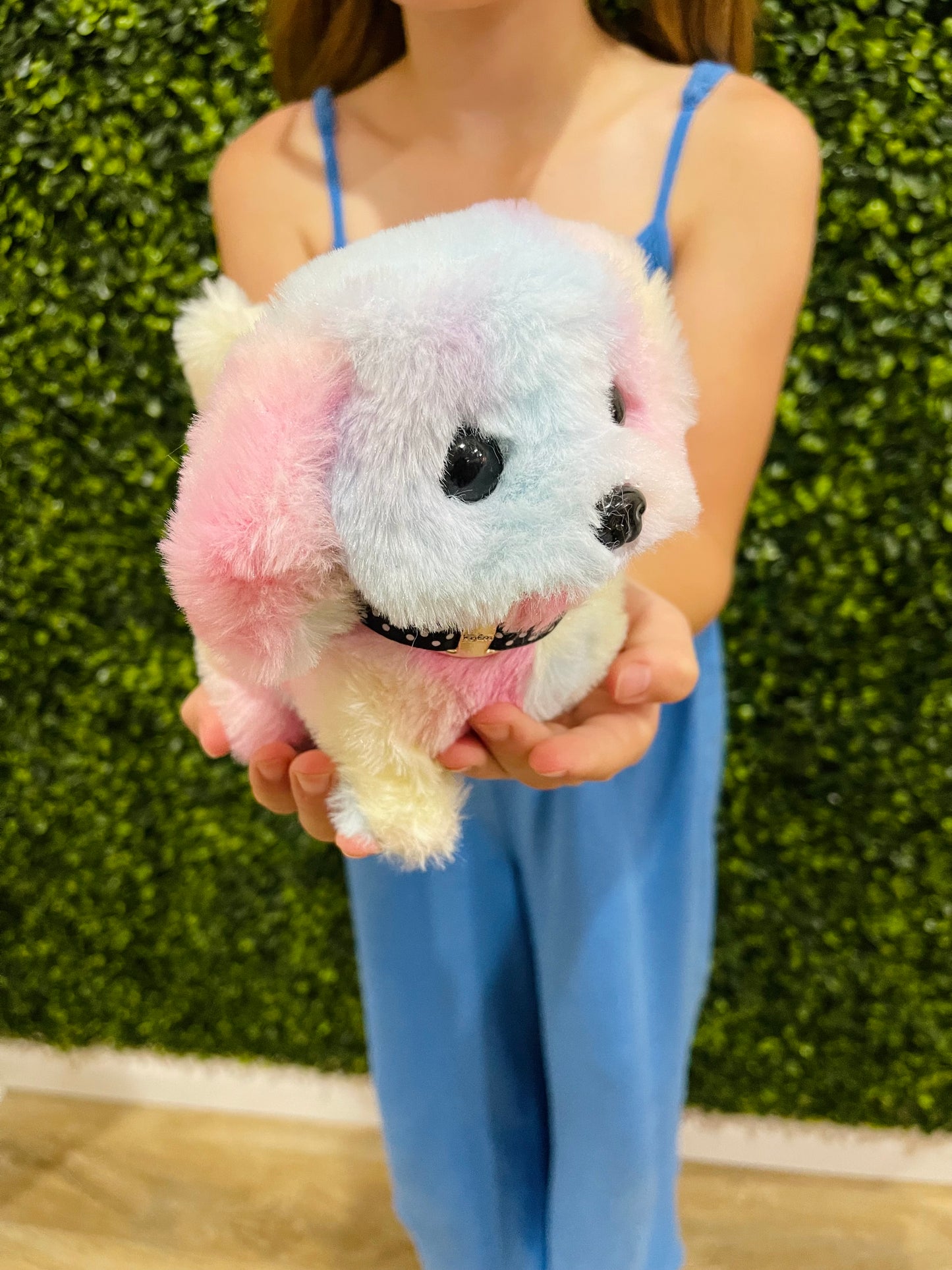Walking Plush Toy | Multi Color
