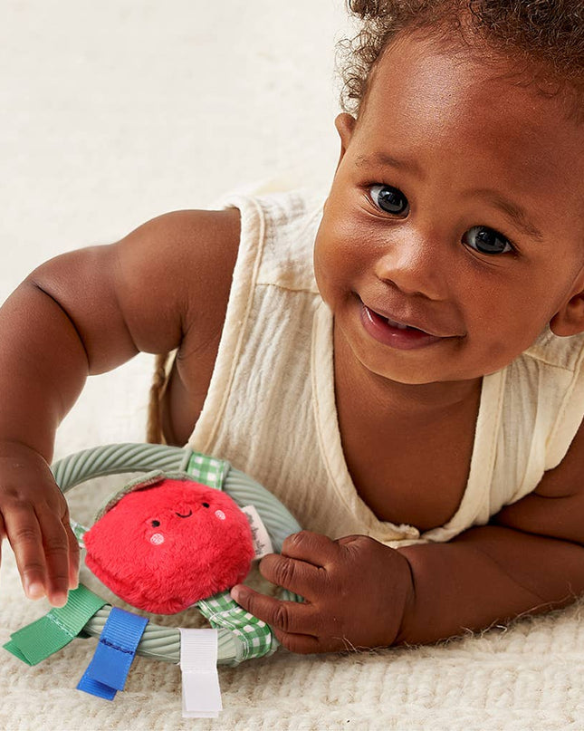 Itzy Ring Pal™ - Teething Ring with Plush Character: Red Tomato