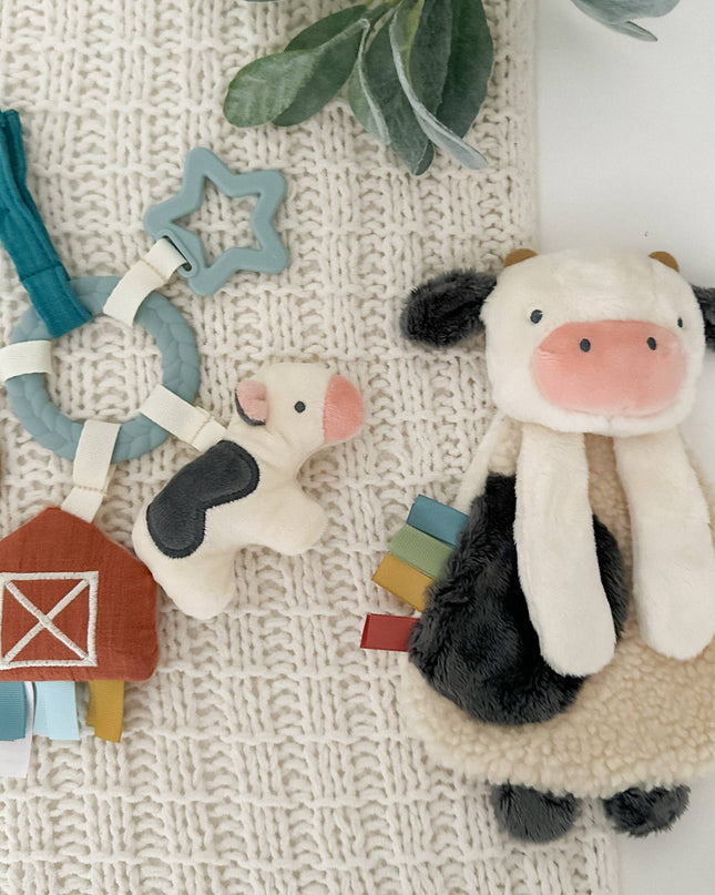 Bitzy Busy Gift Set™