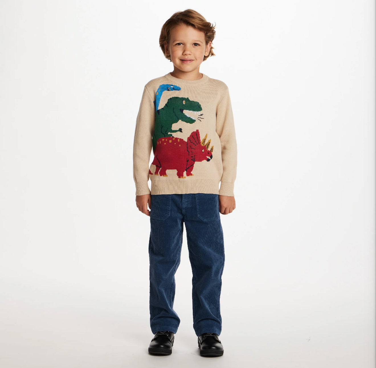 Multi Dinosaur Sweater