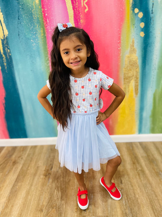 Apple Gingham Short Sleeve Tutu Dress