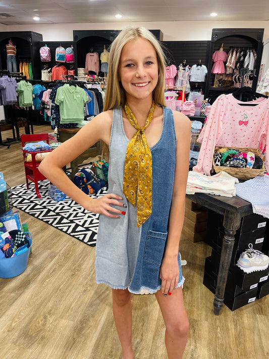 Nina Color Blocked Denim Dress