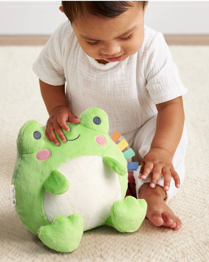 *NEW* Sweetie Snuggles™ Plush: Frog