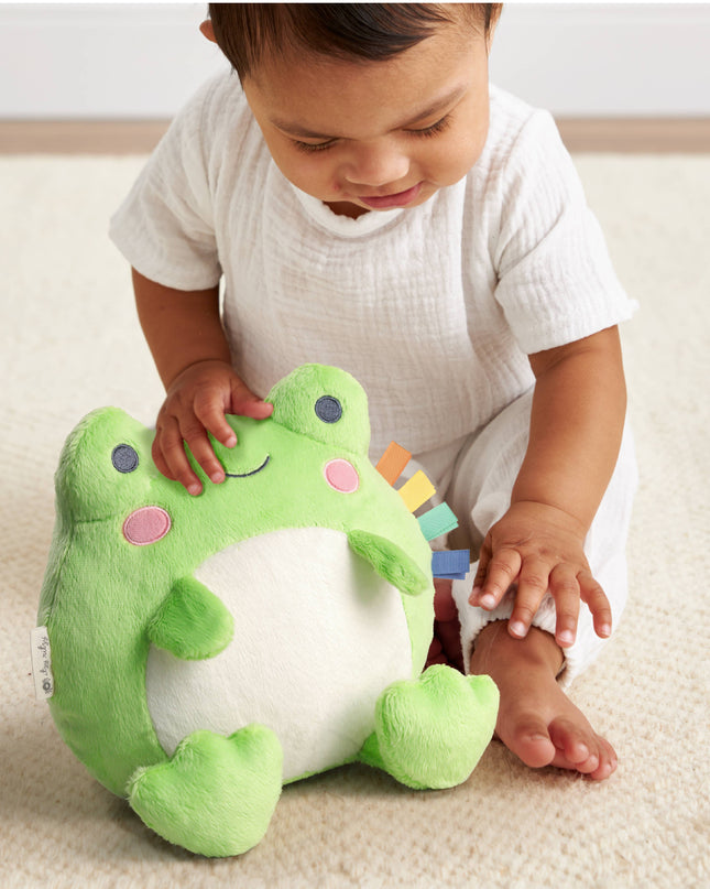 *NEW* Sweetie Snuggles™ Plush: Frog