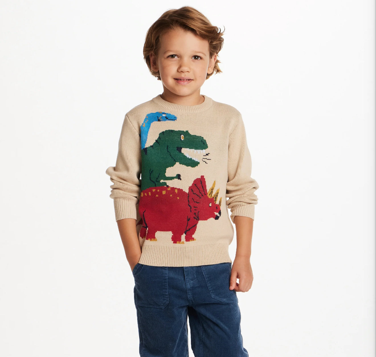 Multi Dinosaur Sweater