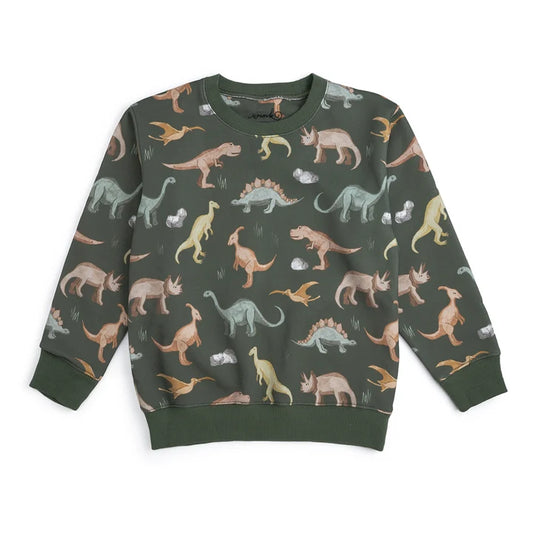 Dinosaurs Rock Sweatshirt