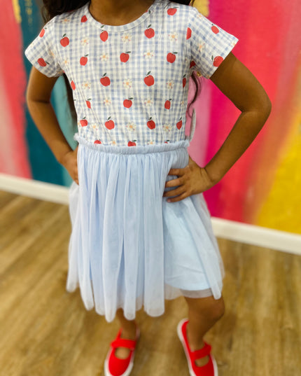 Apple Gingham Short Sleeve Tutu Dress