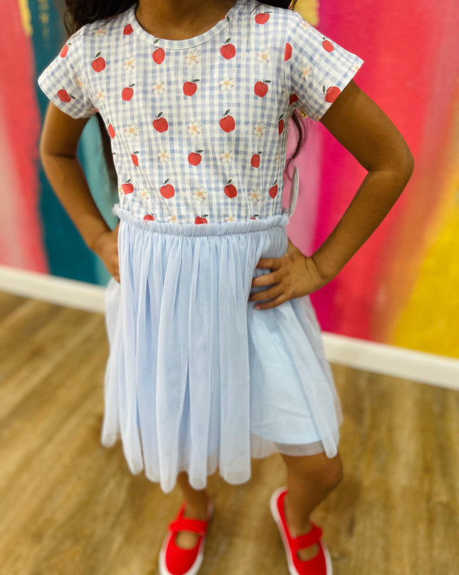 Apple Gingham Short Sleeve Tutu Dress
