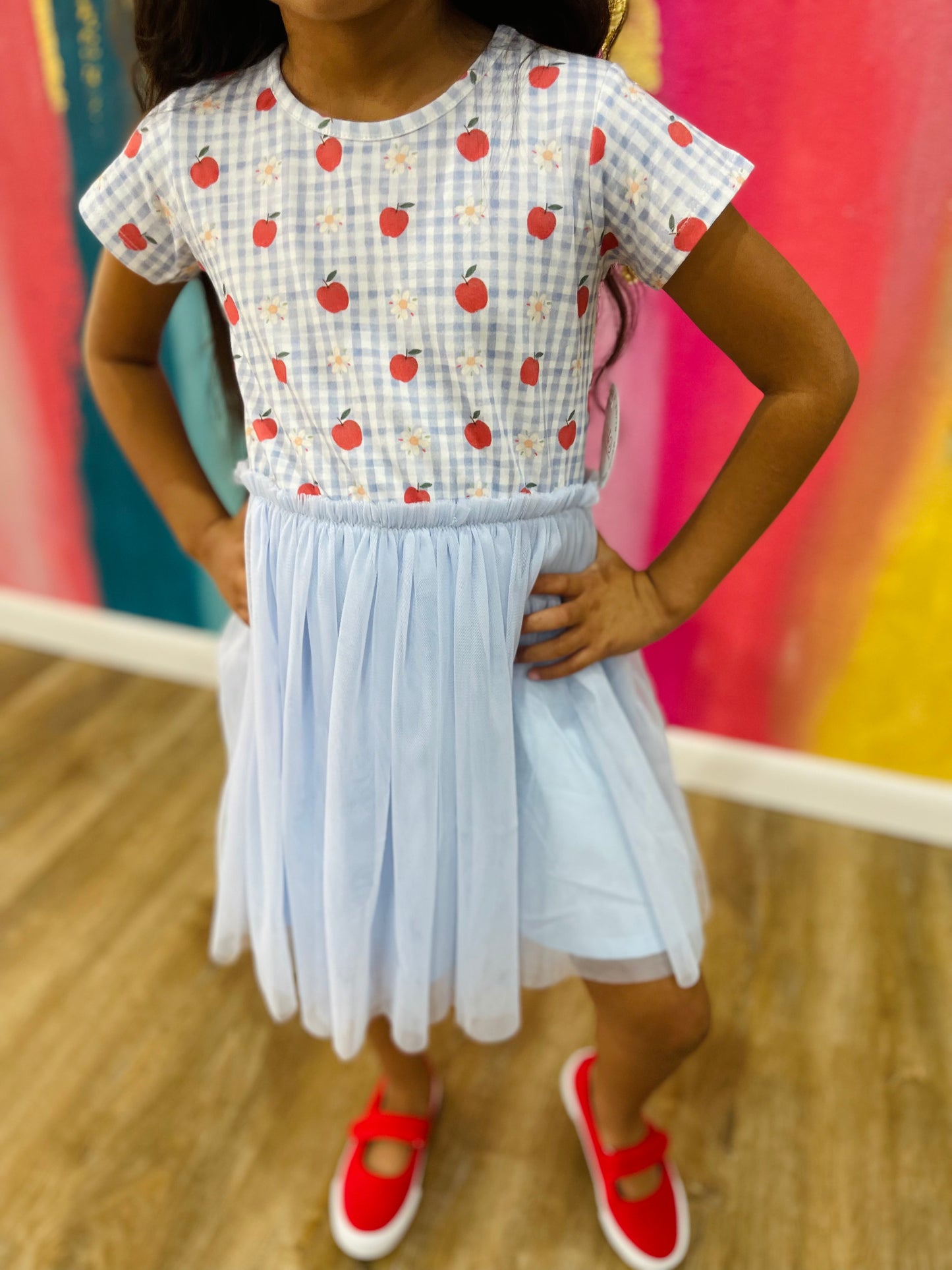 Apple Gingham Short Sleeve Tutu Dress