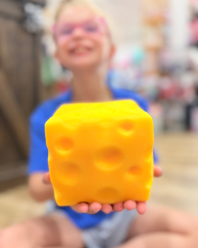 Jumbo Cheese Squishy