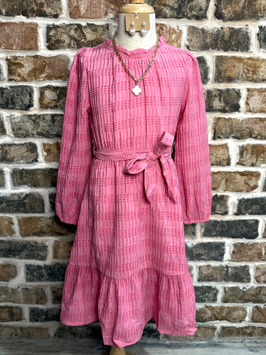 Textured Long Sleeve Belted Knit Dress