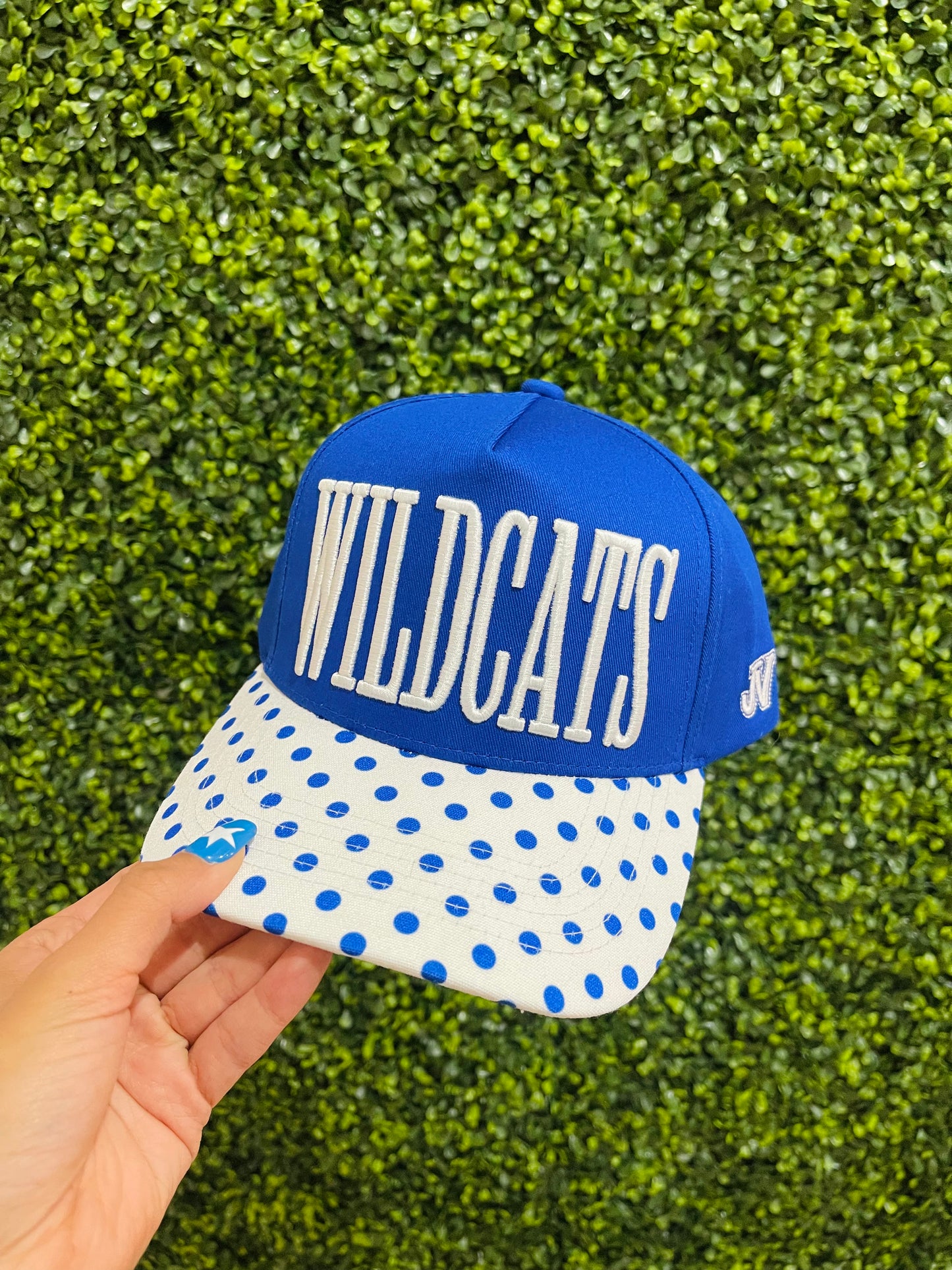 Wildcats | Trucker Hat