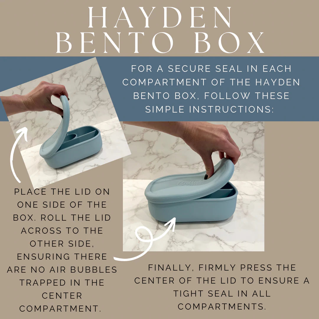 The Hayden Bento Box | Pine Bolt