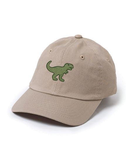 Dinosaur Patch Baseball Hat