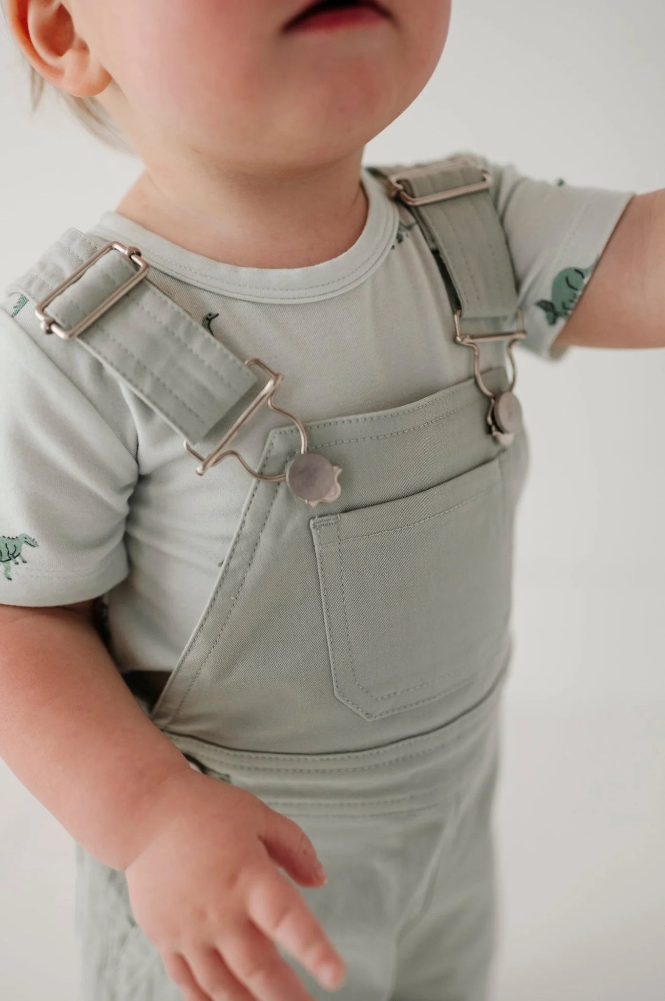 Cotton Overall Set | Dinosaur