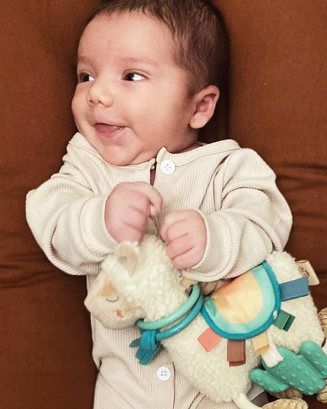 Itzy Friends Link & Love™ Activity Plush with Teether Toy: Llama